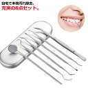 去煙垢用品｜歯科ツールセット 自分で取る 歯石とり ヤニとり 器具 歯石取り 歯垢 口腔ケア器具 自宅用 デンタルツール ステンレス…