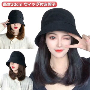 ѕtXq ѕtXq XqtEBbO Xg[g EBbOtXq  EBbOt ×p oPbgnbg t t t fB[X Xq i` Xqt E