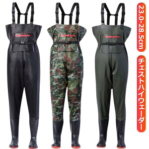 C  WA t Y `FXgnCEF[_[ fB[X Ɣ_ Y tC ނ C WA\[  y h ЊQ |   k EF[_[