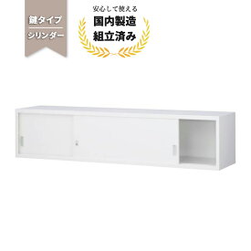 スチール 書庫 引き戸 引違い書庫 生興 ANW-61S シリンダー錠 ホワイト