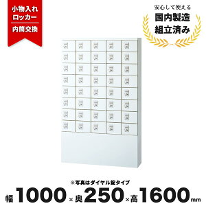 ���� �M�d�i���b�J�[ ���������� �X�`�[�����b�J�[ �z���C�g ���t�� 5��8�i 40�l�p LV-042970N �� �������ꃍ�b�J�[40�l�p W1000 D250 H1600 KLKW-S40-TN ����