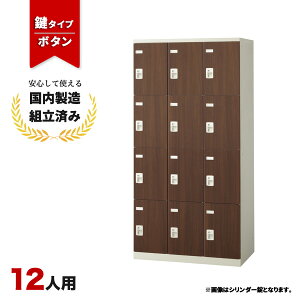 bJ[ 12lp t {^ ؖ  Xߎ ItBX wZ X`[bJ[ LK-042802N   12lpbJ[ W900 D515 H1800 SLBD-12-B