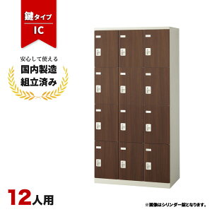 ロッカー 12人用 鍵付き IC錠 木目 おしゃれ 更衣室 オフィス 学校 スチールロッカー LK-042806N ∴ 生興 12人用ロッカー W900 D515 H1800 SLBD-12-C