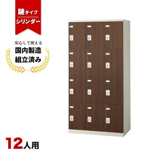 bJ[ 12lp t V_[ ؖ  Xߎ ItBX wZ X`[bJ[ LK-042798N   12lpbJ[ W900 D515 H1800 SLBD-12-S2
