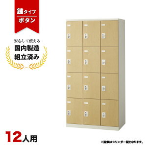 bJ[ 12lp t {^ ؖ  Xߎ ItBX wZ X`[bJ[ LK-042801N   12lpbJ[ W900 D515 H1800 SLBL-12-B