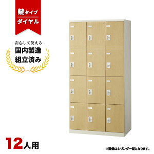 bJ[ 12lp t _C ؖ  Xߎ ItBX wZ X`[bJ[ LK-042799N   12lpbJ[ W900 D515 H1800 SLBL-12-D2