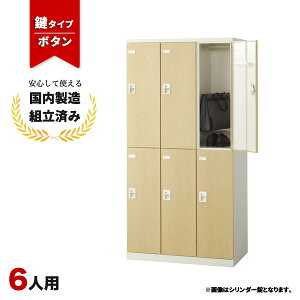 ロッカー 6人用 鍵付き 3列2段 ボタン錠 木目 おしゃれ 更衣室 オフィス 学校 スチールロッカー LK-042745N ∴ 生興 6人用ロッカー W900 D515 H1800 SLBL-6-B