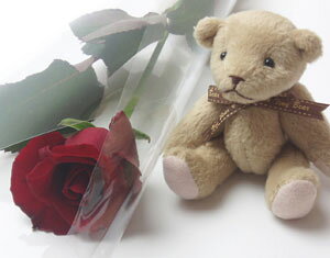  o  v[g a aj jd j  d oYj LO LO  wj Əj AEj o^C zCgf[Ԃ v|[Y 