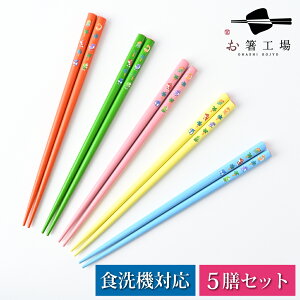  킢  qǂp 5V Zbg / H@Ή R H { ǂ _Ci\[ 18.5cm Y VR 킢  g[jO ۈ牀 ct w  LbY A\[g j