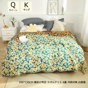 yz|zc GߐQ K[[Pbg ԕ ^IPbg Vv ʋC Q [΍ uPbg NC[ LO 6d 100 |zc 200*230cm G 􂦂 Ċ|zc 