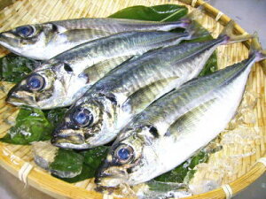 yNzVRqAWryuԁz1KgOA2`5CO