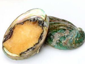 【鮮魚】輸入鮑〈アワビ〉1Kg前後、8〜12個前後