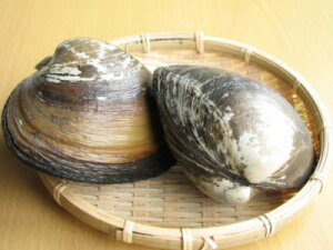 yNzkLqzbLKCryktz1KgOA2`3O