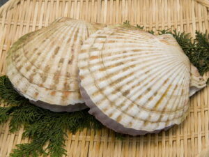 �y�N���z���Y�����L�q�z�^�e�K�C�r2S5���A700g�O��