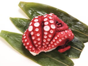 yNzA{Cq{C^Rr1tA300g`400gO