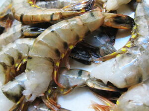 yⓀzubN^CK[3S1A1.8KgOA182O