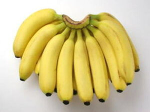 �o�i�i1�[�A2Kg�O��A15�{�O��