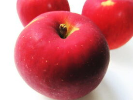 林檎〈リンゴ〉品種：紅玉〈コウギョク〉他1個、200g〜300g前後