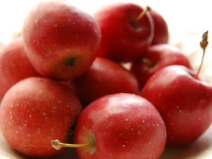 楽天市場 姫林檎 ヒメリンゴ ひめりんご別称 アルプスの乙女1パック 500g前後 10 個前後 築地通販 おいしいなショップ