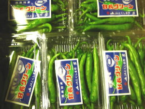 ÒhqqA}iKgEKVr1P[XA30pbNOA3KgO