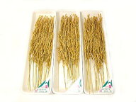 稲穂〈イナホ〉1ケース、20パック前後、1Kg〜2Kg前後