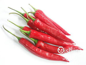 AԓhqqAJgEKVrʏ́Fbh`100gOA8O