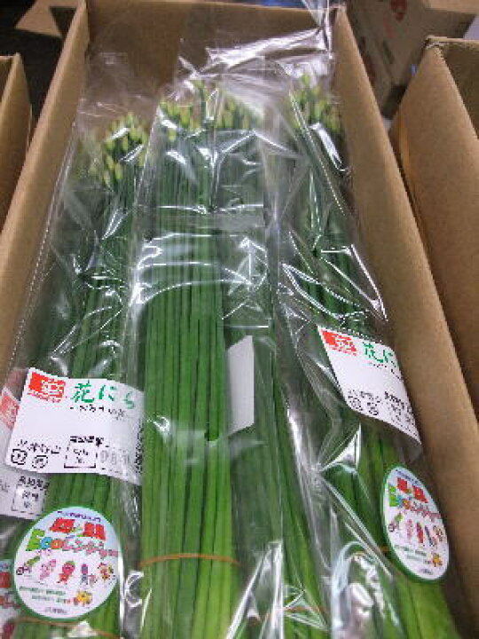 楽天市場 花ニラ ハナニラ 花韮1束 100g前後 築地通販 おいしいなショップ