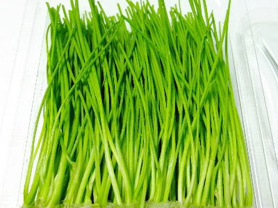 芽葱〈メネギ〉別称:姫葱〈ヒメネギ〉1パック、50g前後