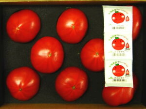 t[cg}g1P[XA8`12OA1KgO