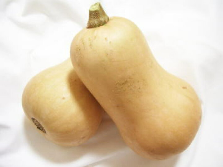 楽天市場 バターナッツ南瓜1個 0 5kg 1kg前後 築地通販 おいしいなショップ