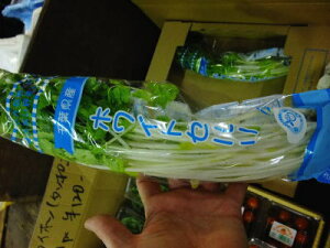 �z���C�g�Z����1�p�b�N�A100g�O��