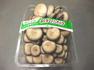 Ђ@@Ђ炽@q^P1P[XA10pbNOA1KgO