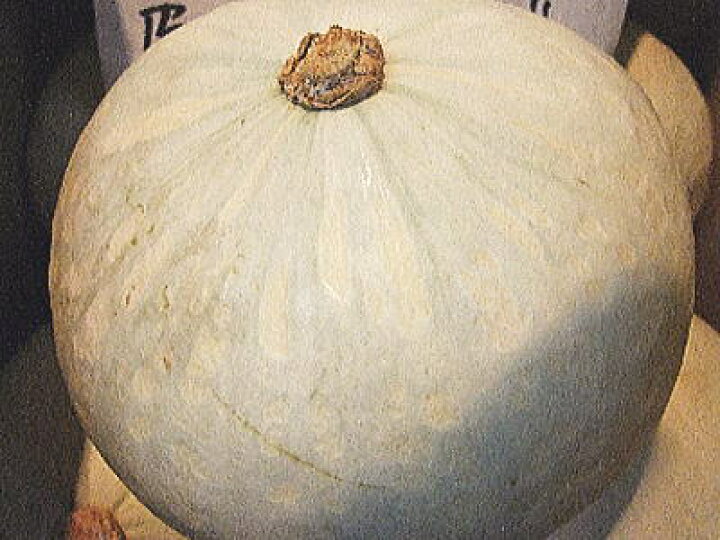 楽天市場 伯爵南瓜 ハクシャクカボチャ 1個 1kg 2kg前後 築地通販 おいしいなショップ