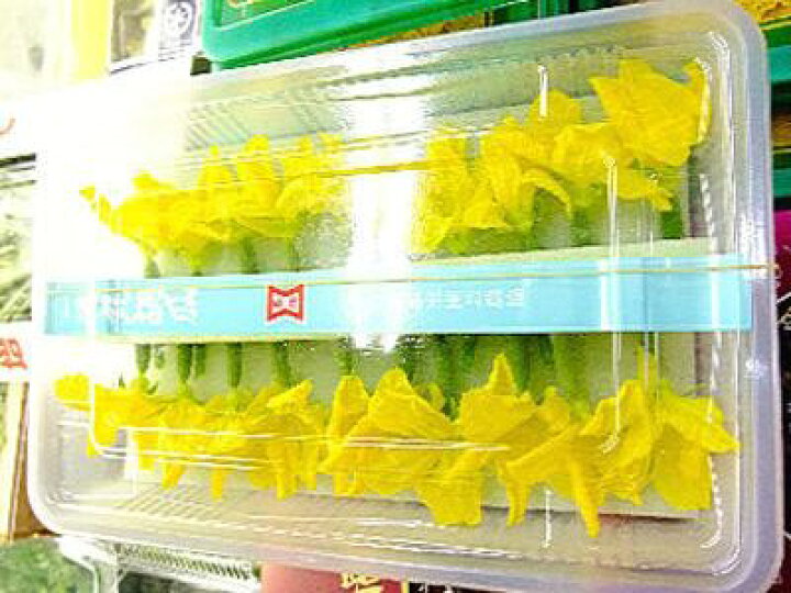 楽天市場 花丸胡瓜 ハナマルキュウリ 1パック 10 本前後 50g 100g前後 築地通販 おいしいなショップ 楽天市場 花丸胡瓜 ハナマルキュウリ 1パック 10 本前後 50g 100g前後 築地通販 おいしいなショップ