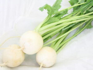 Juʏ́FJuAXYi1A3`7ʑOA600g`900gO