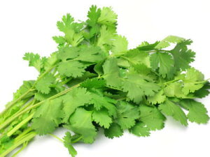 パクチー 100gの人気商品 通販 価格比較 価格 Com