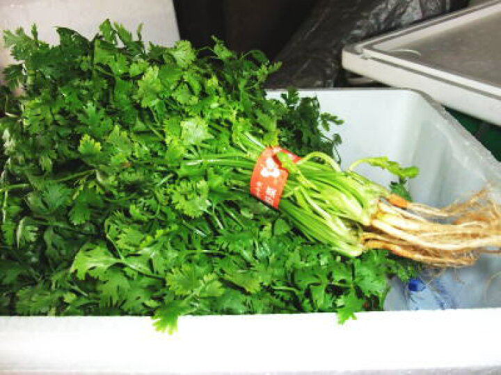 香菜 コウサイ 100g程度 コリアンダー パクチー 限定価格セール パクチー