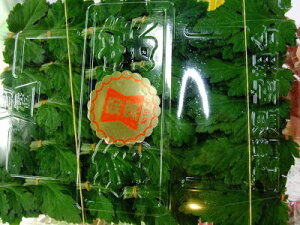 e̗tqLNmnr1pbNA10OA100gO