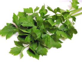 芹菜〈キンサイ〉別称：スープセロリ、中国セロリ1束、100g前後