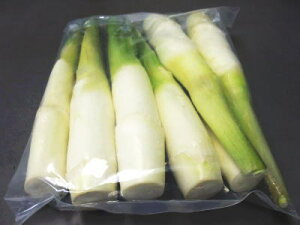 A܂q}R_Pr1pbNA1KgOA6`12{O