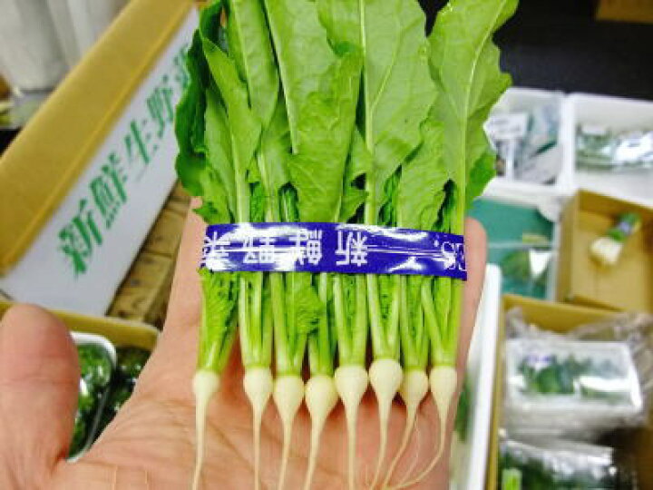 楽天市場 芽蕪 メカブ 1パック 10個前後 g 50g前後 築地通販 おいしいなショップ