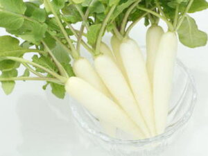 ~j卪q~j_CRr1P[XA25pbNOA1.25KgO