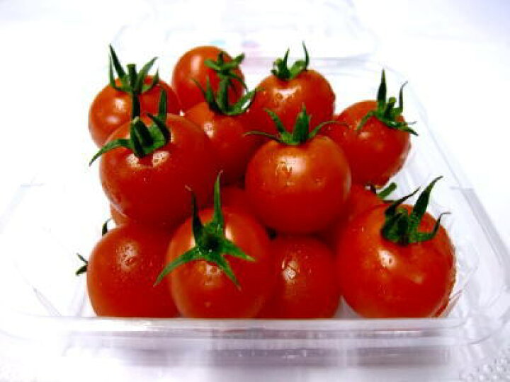 M】ミニトマト 12kg ミディフルBOX（2kg） | Lacycle mall 