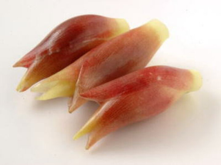 楽天市場 茗荷 みょうが ミョウガ 花茗荷1ケース 40パック前後 2kg前後 築地通販 おいしいなショップ