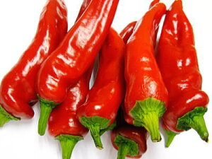 莛hqqԁrq}KWgEKVr1P[XA1KgOA25`50{O