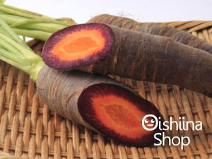 ���l�Q�q�����T�L�j���W���r500g�O��A2�`10�{�O��