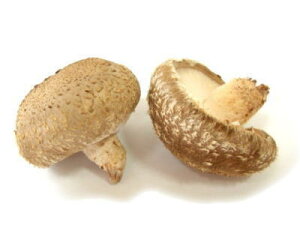 őqi}VC^Pr1pbNA100gOA6`12O