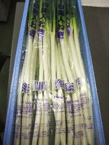 KqipNiKlMrʏ́FKqipNlMr1P[XA10OA3KgO