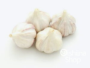 AjjN1P[XA10KgOA100`200O