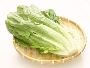 C^Xʏ́FRX^X1A300g`500gO